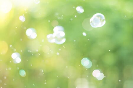 Dreamy Abstract background from soap bubble in the air with nature defocusedの写真素材
