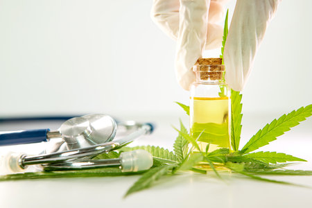 close up a bottle of a CBD hemp oil  from marijuana plant herbal leaf for biological and pharmaceutical essential oil drug , CBD oil for medical conceptの写真素材