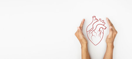 Hand hold red line heart organ, heart disease awareness campaign, cardiovascular health, Stroke Prevention, hypertension (high blood pressure) for heart disease conceptの写真素材