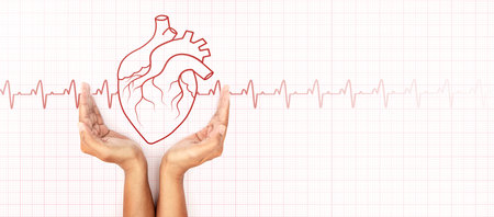 Hand hold red line heart organ and cardiogram, heart disease awareness campaign, cardiovascular health, Stroke Prevention, hypertension (high blood pressure) for heart disease conceptの写真素材