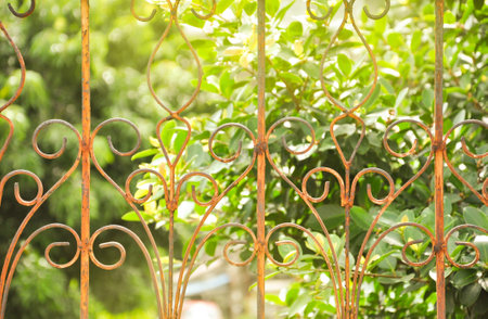old rusty iron balcony wrought, blurred background tree natureの写真素材