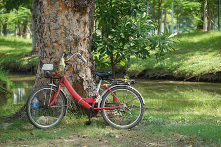 background old bicycle in the parkの写真素材
