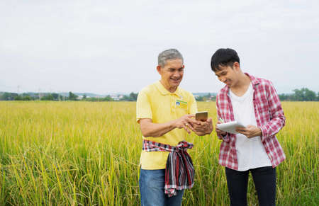 rice specialist conversing to young smart farmer by smart phone while the farmer is writing on paper notebook,background paddy field with copy space, concept rice research and study for developmentの写真素材