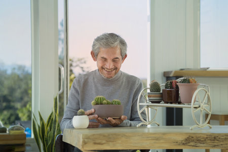 asian senior man smiling and holding cactus planted happily, old pensioner man spend his free time planting cactus indoors at home, concept elderly people activity, lifestyle,hobbiesの写真素材