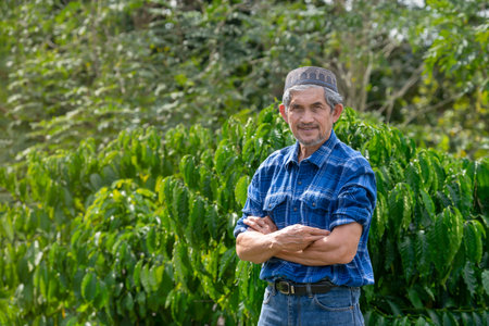 portrait muslim senior man wearing hat in his coffee plantationの写真素材