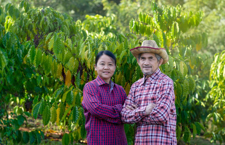 portrait senior couple standing in the coffee farm, coffee agriculture farmer, SME business, business ownerの写真素材