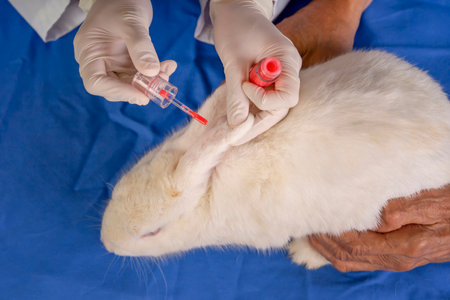 concept of rabbit experimental animal, cosmetic experiment, scientist hands and helper doing cosmetic test at white bunny's ear, cosmetic allergy experiment (selective focus)の写真素材