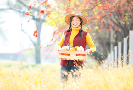 young attractive asian woman wears hat,holding crate of pumpkin in the autumn atmosphere,standing in the morning golden farmland,concept autumn harvest,seasonal harvestingの写真素材