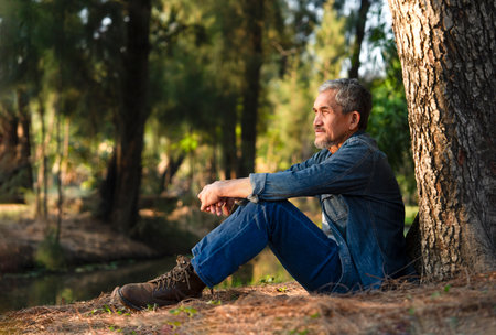 asian senior man with grey hair and beard sitting under a big tree in the forest park in the morning sun,mature male travel in nature,concept of elderly pensioner lifestyle,travel,camping,relaxationの写真素材