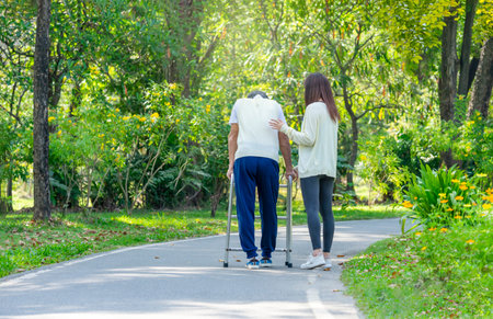 back view of daughter help disability father walking in the park,a young adult woman supporting a senior man using a walker to walk in the parkの写真素材