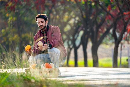 a young man looking the pumpkins on hands,buyer checking quality of agricultural fruits produce from wooden crate,concept of harvesting in autumn,agricultural products,tradingà¸¡business,industryの写真素材