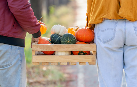 young couple carrying wooden crate of harvested pumpkin walking on the street,concept of harvesting season in autumnの写真素材