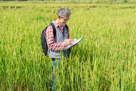 portrait agronomist or researcher writing paperwork on clipboard while examining rice plant in paddy...