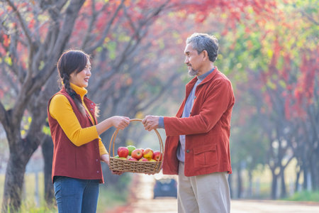 family lifestyle in autumn harvested,senior father and young adult daughter carry a basket of harvested apples and talking while walking homeの写真素材