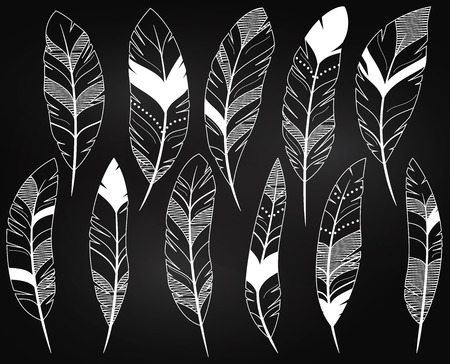 Vector Set of Chalkboard Feathers and Feather Silhouettesのイラスト素材