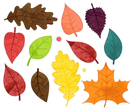Vector Collection of Watercolor Style Autumn Leavesのイラスト素材