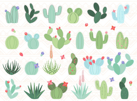 Set of Cactus and Succulent Plantsのイラスト素材