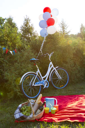 Picnicの写真素材