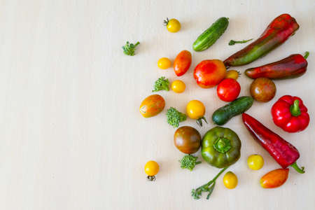 Vegetables in stock.の写真素材