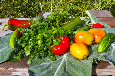 Fresh vegetables from the garden in the assortment.