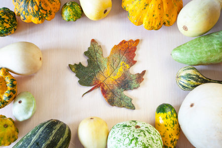 Variety of courgettes on a light background with autumn leaves.