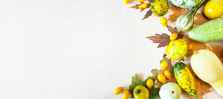 Variety of courgettes on a light background with autumn leaves.の写真素材