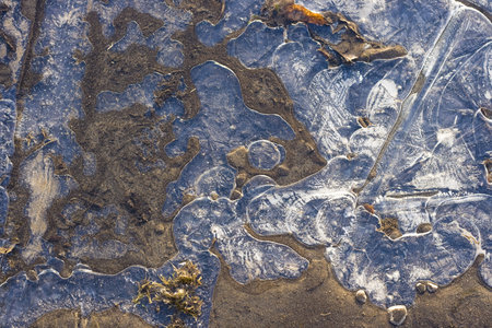 Ice on the surface of a little pondの写真素材