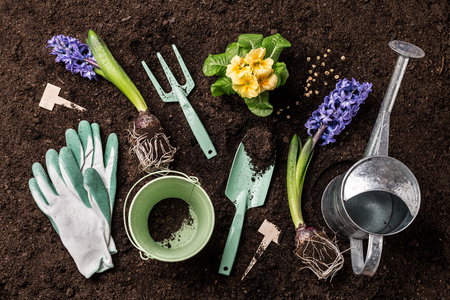 Gardening tools, hyacinth flowers and watering can on soil background. Spring garden works concept. Layout captured from above (top view, flat lay).の写真素材