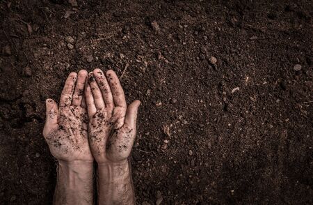 Man (farmer's) hands on soil background captured from above (top view, flat lay). Agriculture, gardening or ecology concept layout with free text (copy) space.の写真素材