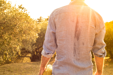 Farmer or gardener standing in front of a olive grove - sweaty back close up. Agriculture or gardening - country outdoor scenery, gold sunset light.の写真素材