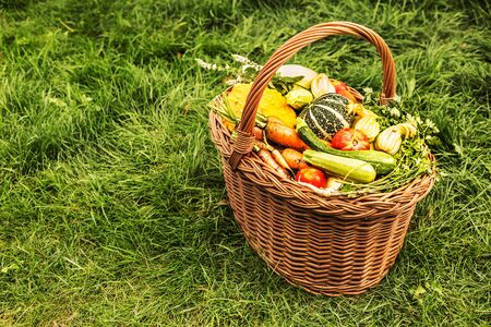 Colorful organic vegetables in a wicker basket outdoor. Green grass background. Fresh harvest from the garden. Free copy (text) space.の写真素材