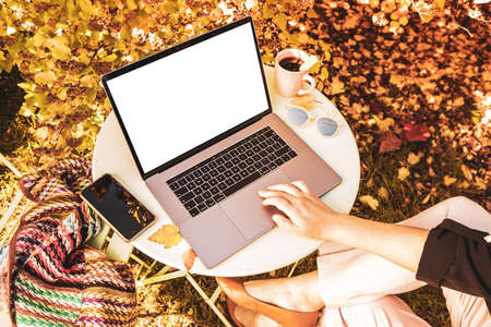 Woman (businesswoman) working on the laptop computer outdoor in the autumn garden. Blank screen as the copy space. Freelance or remote (mobile) office work concept - seasonal lifestyle background.の写真素材