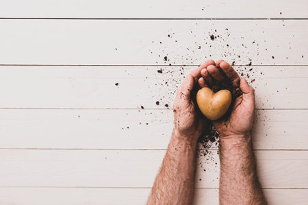 Heart shaped potato and soil in gardener's hands. White wooden background with free text (copy)...