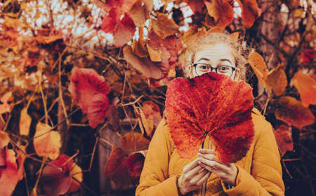 Autumn - outdoor portrait of cheerful caucasian teenage girl holding a big red leaf. Colorful foliage as background.の写真素材