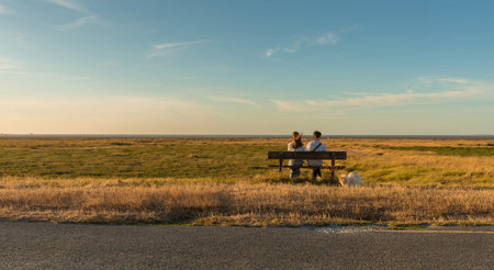 People (couple) sit on a bench in the middle of nowhere. Flat, peaceful, meadow landscape. Dunes,...