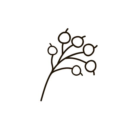 Branch with berries  illustrationのイラスト素材