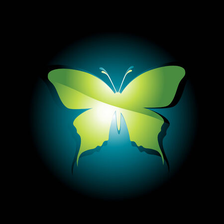  beautiful illustration of butterflyのイラスト素材