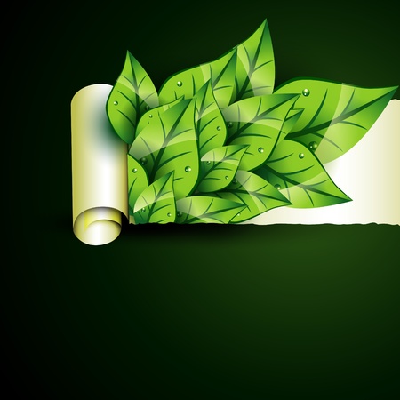 green leaf coming out. Eco backgroundのイラスト素材