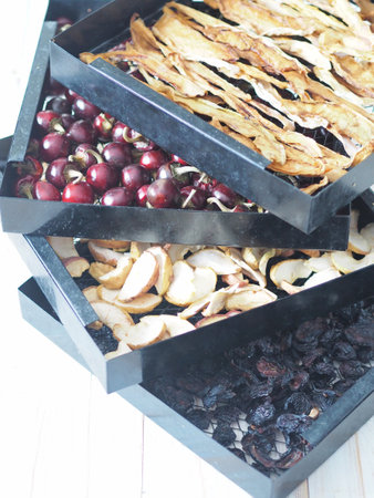 Black lattices from a home dryer of fruits and vegetables with different dried fruits. Homemade...