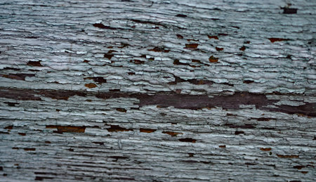 Old wood. Shabby, burned out, decrepit from time to time.