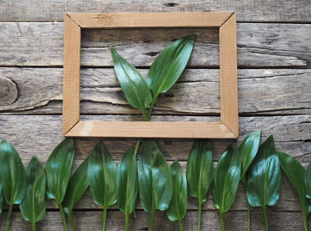The concept of natural eco-friendly being. Green leaves of a tropical plant on a wooden ancient...