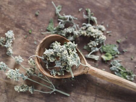 Dry medicinal herb lemon balm, mint. Wood background. Herbal tea for health.の写真素材