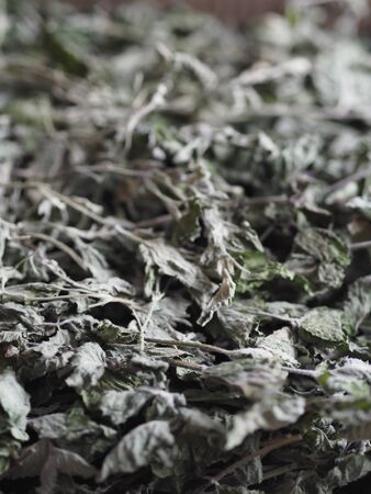 Dry medicinal herb lemon balm, mint. Wood background. Herbal tea for health.の写真素材