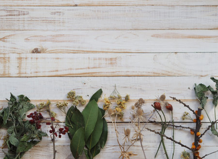 The concept of using medicinal dried herbs. Wooden white background with different medicinal herbs....