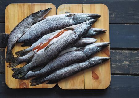 On a wooden black background on a cutting board of a carcass of carcass of fresh river fish pike. Place for an inscription. The use of fish for health. Winter fishing.の写真素材
