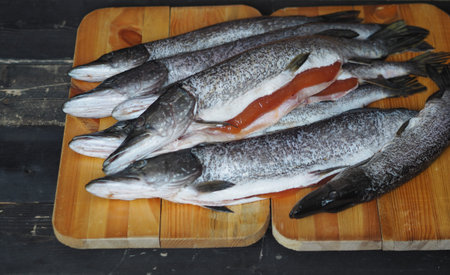 On a wooden black background on a cutting board of a carcass of carcass of fresh river fish pike....