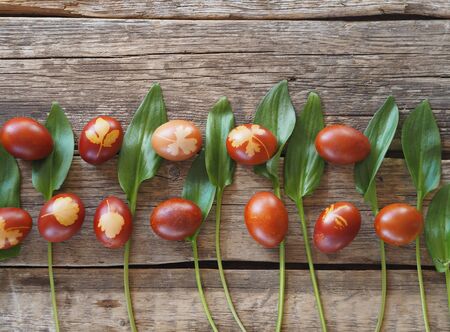 Easter background with colored eggs and green plant leaves. Colored eggs with a decoction from the onion skin. The traditional method of natural dyeing. The eggs are arranged in rows on a wooden background.Space for text.の写真素材