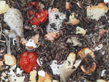 Compost heap with rotten droppings from rabbits, dry leaves and plants, kitchen waste, rotten fruits...