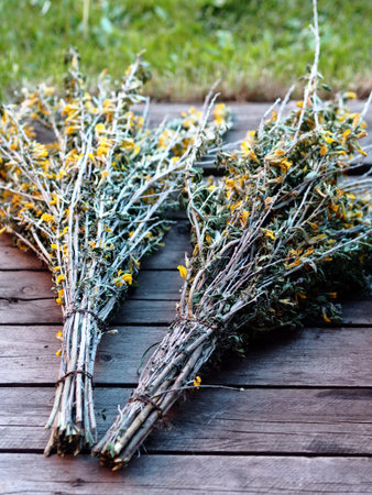The twigs of the shrub caragana, or Cilhi, with small leaves and small yellow flowers.Convenient factory for the production of street brooms and brooms. Two brooms on a wooden background.の写真素材