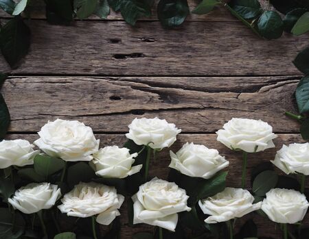 Floral wooden natural background.The view from the top.White roses with green leaves are spread out on half the table.Space for text.Holiday greetings.の写真素材